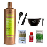 Progressiva Prohall Burix One Organica 1l 6 Produtos