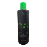 Progressiva Zap Me Leva Black Cacau Aloe Passo Unico 500 Ml