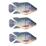 Pesca