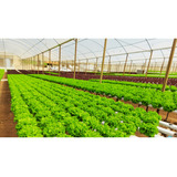 Projeto Completo Horta Hidropônica Sustentável Envio Rápido