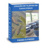 Projeto Manual Criação Tilápias Caixa D agua Passo A Passo