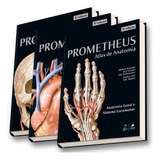 Prometheus Atlas De Anatomia