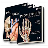Prometheus Coleção Atlas De Anatomia 3 Volumes 4 2019