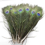 Promoção 10 Penas Plumas Naturais Natural De Pavão Azul 