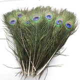 Promoção 10 Penas Plumas Naturais Natural De Pavão Azul