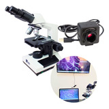 Promoção Microscópio Binocular Acromático 1600x