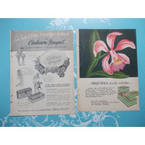Propaganda Vintage. Sabonete Bouquet De Orquídeas. Cashmere 
