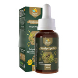 Própolis Verde Natural Puro Extrato 70 Solução Alcoólica