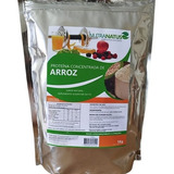 Proteína Concentrada Arroz 1kg Vegana Importada Rice Protein