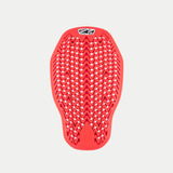 Protetor Alpinestars Nucleon Plasma Back Protector