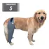 Protetor Cachorro Perna De Trás Leg Traseira Proteção Uv N5