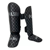 Pulser