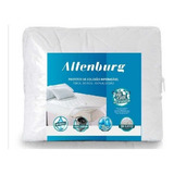 Altenburg