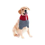Protetor De Pescoco Cachorro