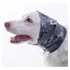 Protetor Ouvido P  Pet Medo De Fogos Oto Calm Pet Med Tam 3