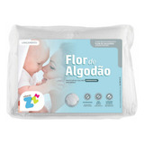 Fibrasca