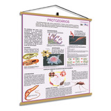 Medicina