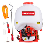 Pulverizador Motorizado 2 Lanças Costal A Gasolina 25lts Pc9