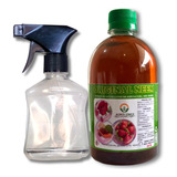 Spray