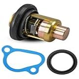 QAGGUM Kit De Termostato Externo Adequado Para Honda BF20hp Até 130hp BF25A BF30A BF40A BF50A BF75A BF90A BF115A E BF130A 4 Tempos 1999-2003- Substitui 19300-ZV5-043 19351-ZV5-5-000