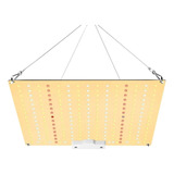 Qbc Quantum 65w Board Painel Led Samsung Lm281b Grow Up 600w 110v 220v