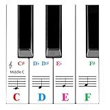 QMG Adesivos De Piano Para Teclado De 61 Teclas- Adesivos Coloridos Brilhantes- Ferramenta Visual Perfeita Para Crianças E Iniciantes Aprendendo Piano- Transparente E Removível- Não Deixa Resíduos-