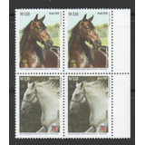 Quadra Nova Dos Selos C 3592 93   Cavalos