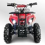 Quadriciclo 49cc Bz Rex