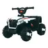 Quadriciclo Elétrico Infantil Marcha Frente ré Br Zippy Toys