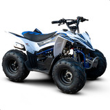 Quadriciclo Infantil Fun Rhino