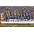 Quadro 20x30: Cruzeiro Campeão Mineiro - 2011 / Novo Okm.