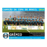 Quadro 20x30 Gremio