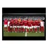 Quadro 20x30: Int. Campeão Gaúcho - 2011 / Novo Okm.