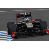 Quadro 20x30 Lotus