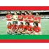 Quadro 20x30: Portuguesa-sp Campeã Paulista - 1973/ Novo Okm