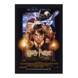 Quadro 34x49cm Harry Potter