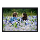 Quadro 44x64cm Crepusculo