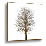 Quadro Arvore De Digitais