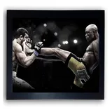 Quadro Anderson Silva Ufc