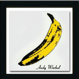 Vinil