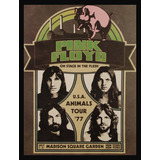 Quadro Banda Pink Floyd Animals Tour 1977 Chicago 42x29cm