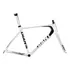 Quadro Bike Speed Carbono Giant Tcr Advanced 