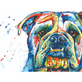 Quadro Bulldog Inglês Dog Art Cachorro Cão Canvas 60x80