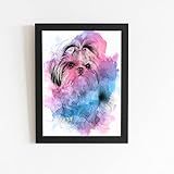 Quadro Cachorro Cao Shih
