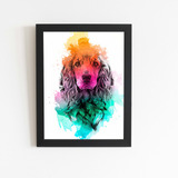 Quadro Cachorro Cocker Spaniel Inglês Moldura