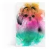 Quadro Cachorros Dogs Pets Animais Tela Canvas 60x40cm