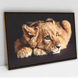 Quadro Canvas Animais 