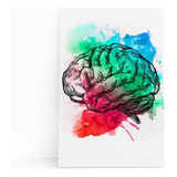 Quadro Canvas Cérebro Colorido Minimalista Arte