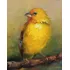 Quadro Canvas Pintura Abstrata Óleo Pássaro Amarelo Exótico