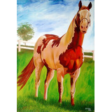 Quadro Cavalo Paint Horse